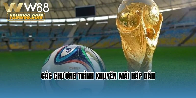 Các chương trình khuyến mãi hấp dẫn