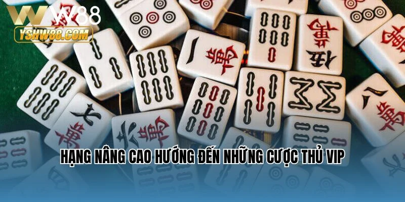 Hạng nâng cao hướng đến những cược thủ VIP