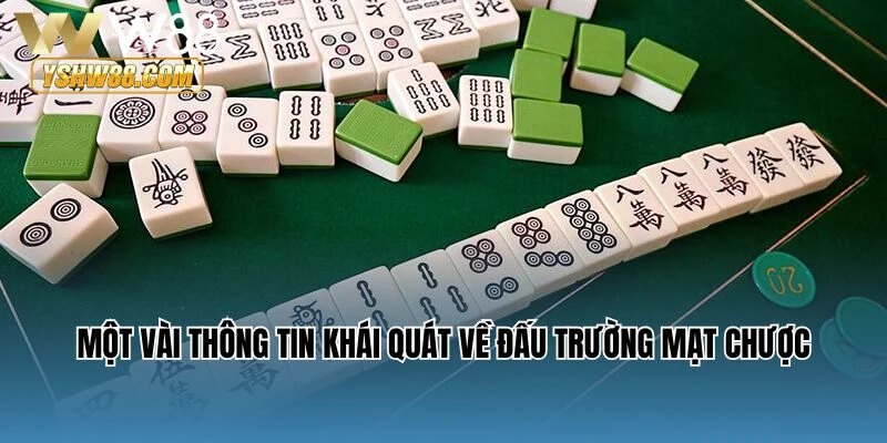 Một vài thông tin khái quát về Đấu trường mạt chược