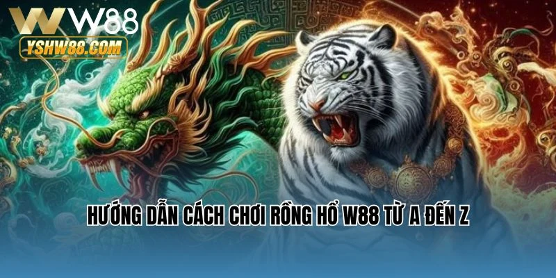 Hướng dẫn cách chơi Rồng Hổ W88 từ A đến Z