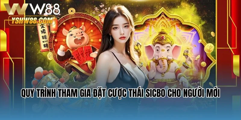 Quy trình tham gia đặt cược Thái Sicbo cho người mới