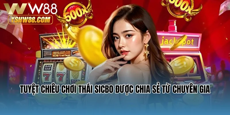 Tuyệt chiêu chơi Thái Sicbo được chia sẻ từ chuyên gia